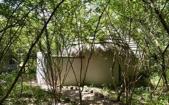 Bakwena Lodge Kasane Exterior photo